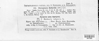 Erysiphe berberidis image